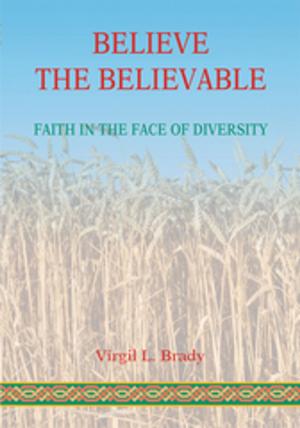 Book cover of Believe the Believable