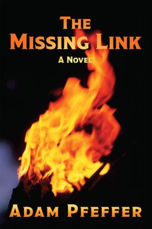 Cover of the book The Missing Link by Kristina Chamberlain CNM ARNP IBCLC
