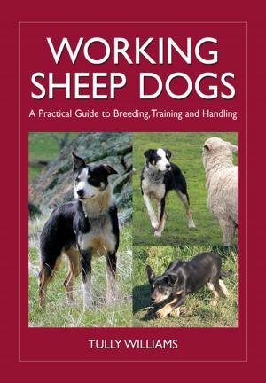 Cover of the book Working Sheep Dogs by David E Aldous, Ian H Chivers