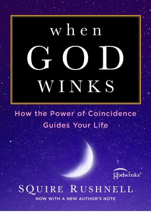Book cover of When God Winks