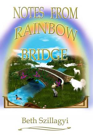 Cover of the book Notes From Rainbow Bridge by Trish Dozier
