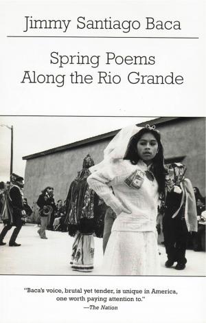 Cover of the book Spring Poems Along the Rio Grande by Thomas Merton