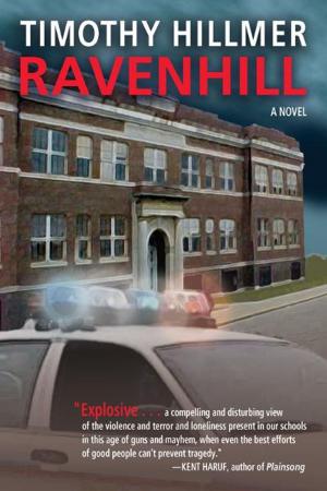 Cover of the book Ravenhill by Sharon Niederman