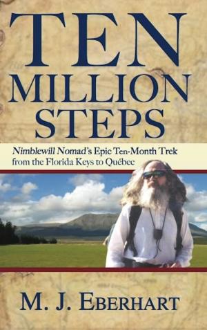 Cover of the book Ten Million Steps by Bob Sehlinger, Johnny Molloy