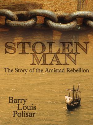 Cover of the book Stolen Man by Omar Drake