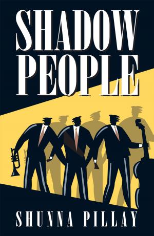 Cover of the book Shadow People by Barry Feinberg