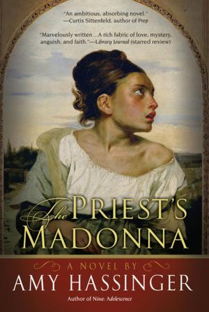Cover of the book The Priest's Madonna by Amanda Hodgkinson