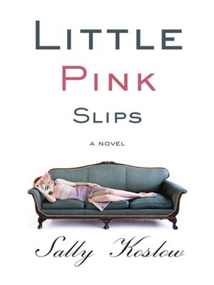 Cover of the book Little Pink Slips by Lucinda Holdforth
