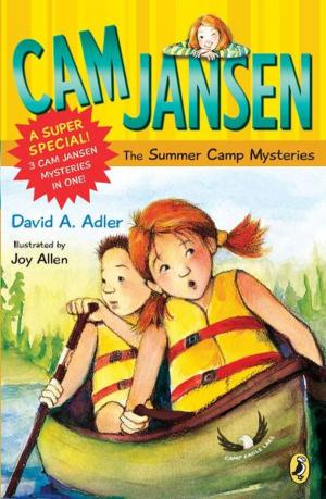 Cover of the book Cam Jansen: Cam Jansen and the Summer Camp Mysteries by Roberta Edwards, Who HQ