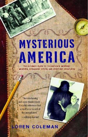 Cover of the book Mysterious America by David R. George III
