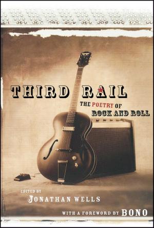 Cover of the book Third Rail by Emilie Poulsson, Lewis Jesse Bridgman