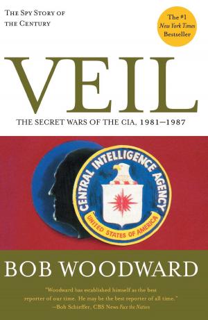 Cover of the book Veil by Alicia F. Lieberman