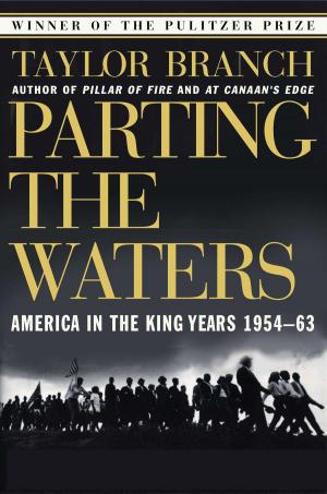 Cover of the book Parting the Waters by A. J. Jacobs