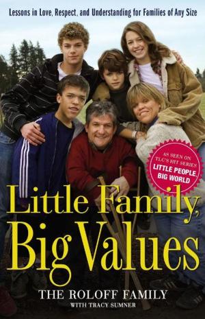 Cover of the book Little Family, Big Values by Mortimer J. Adler