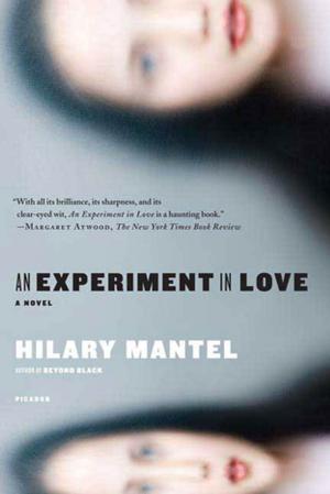 Cover of the book An Experiment in Love by Robert D. Hormats