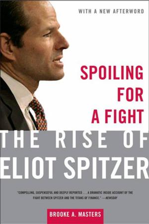 Cover of the book Spoiling for a Fight by David Weinberger