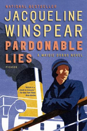 Cover of the book Pardonable Lies by Douglas Hobbie