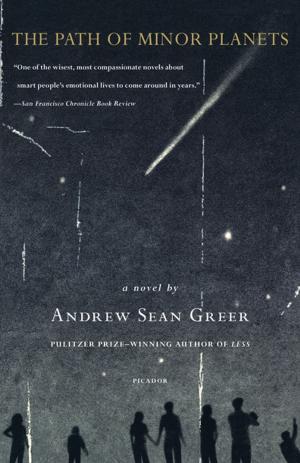 Cover of the book The Path of Minor Planets by Arthur Schwartz