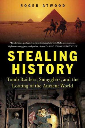 Book cover of Stealing History