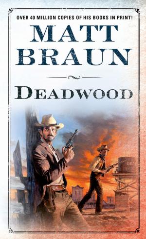 Cover of the book Deadwood by Karl May