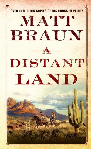 Book cover of A Distant Land