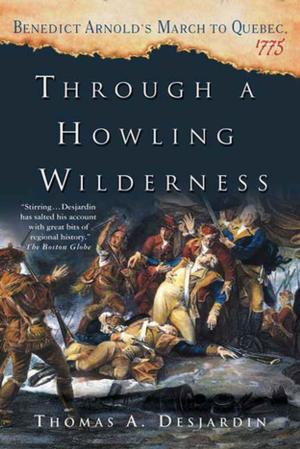 Cover of the book Through a Howling Wilderness by Diane Chamberlain