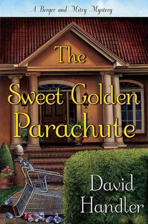 Cover of the book The Sweet Golden Parachute by Brighton Walsh