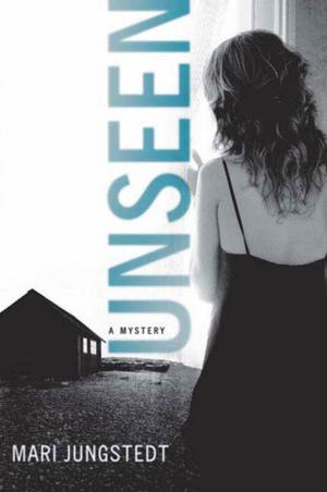 Cover of the book Unseen by Lily Anderson
