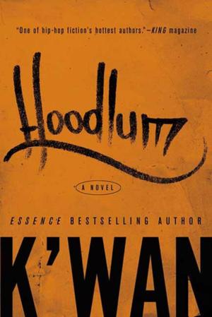 Cover of the book Hoodlum by Margaret George
