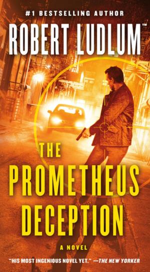Cover of the book The Prometheus Deception by Linda Castillo