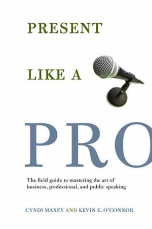 Book cover of Present Like a Pro