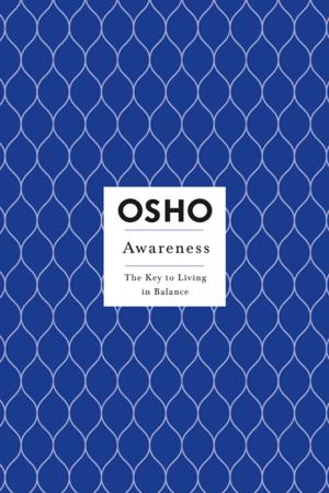 Cover of the book Awareness by Wendy Howard Goldberg, Bridget Moynahan