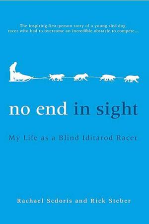 Cover of the book No End in Sight by Sandy Prantl