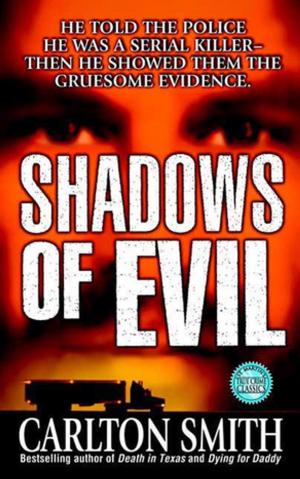 Cover of the book Shadows of Evil by Katherine Bolger Hyde