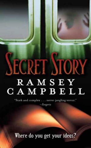 Cover of the book Secret Story by Robert Jordan, Chuck Dixon