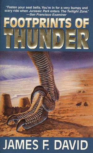 Cover of the book Footprints of Thunder by John C. Wright