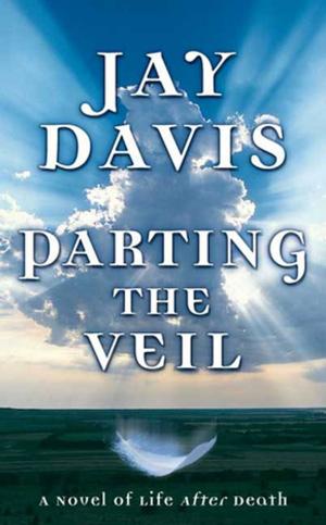 Cover of the book Parting the Veil by Orson Scott Card