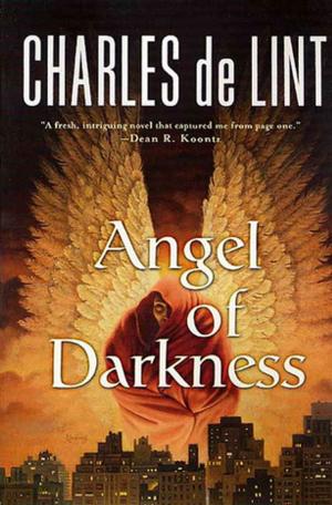 Cover of the book Angel of Darkness by Robert J. Sawyer