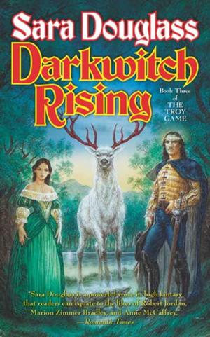 Cover of the book Darkwitch Rising by Moira J. Moore