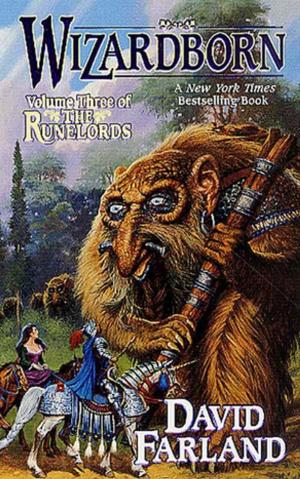Cover of the book Wizardborn by Margaret Killjoy