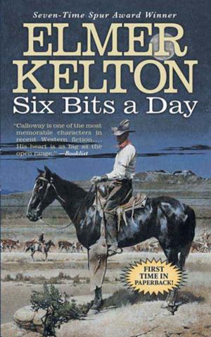 Cover of the book Six Bits a Day by Carole Johnstone