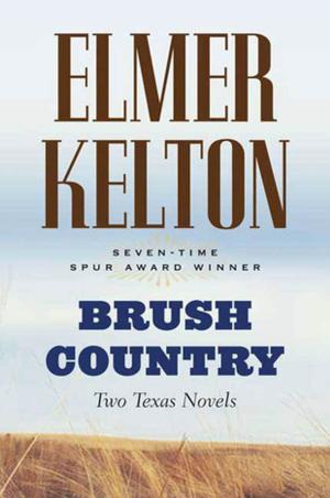 bigCover of the book Brush Country by 
