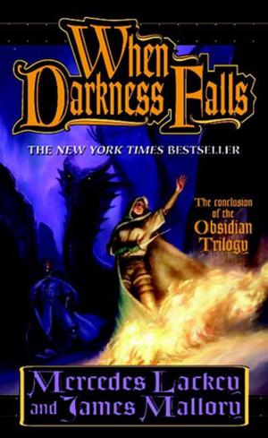 Cover of the book When Darkness Falls by James Milne