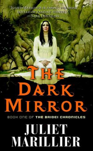 Book cover of The Dark Mirror