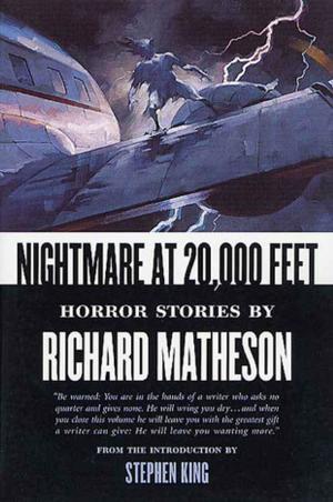 Cover of the book Nightmare At 20,000 Feet by Richard S. Wheeler