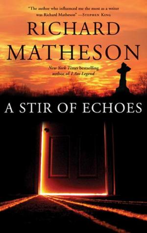 Cover of the book A Stir of Echoes by Orson Scott Card