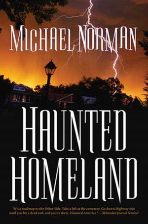 Cover of the book Haunted Homeland by Caroline Stevermer