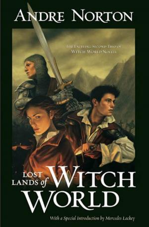 Cover of the book Lost Lands of Witch World by L.K. Evans