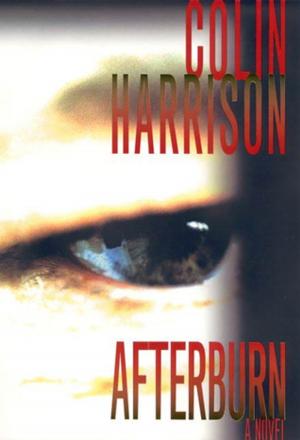 Cover of the book Afterburn by Ceridwen Dovey