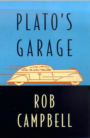 Cover of the book Plato's Garage by Gary Brozek, Mike Ritland